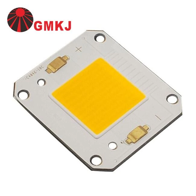 cob 100w
