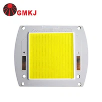 300W LED COB الصمام الثنائي لضوء الفيضانات