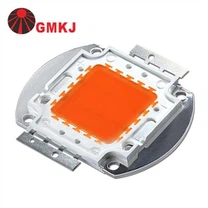 LED تنمو COB رقاقة الصمام الثنائي 30W 50W 80W 100W