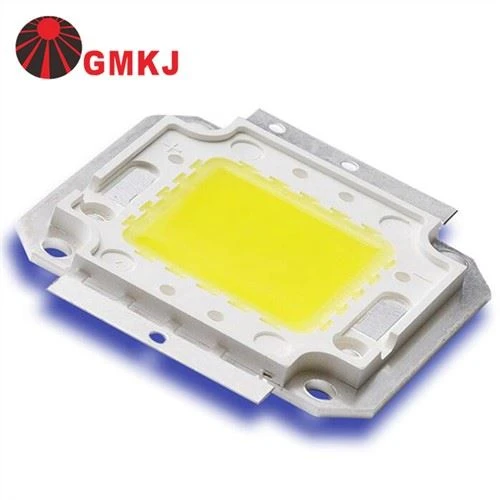 COB LED 10W -100 W Bridgelux Chip Copper Bracket LED Chip For High Bay Light